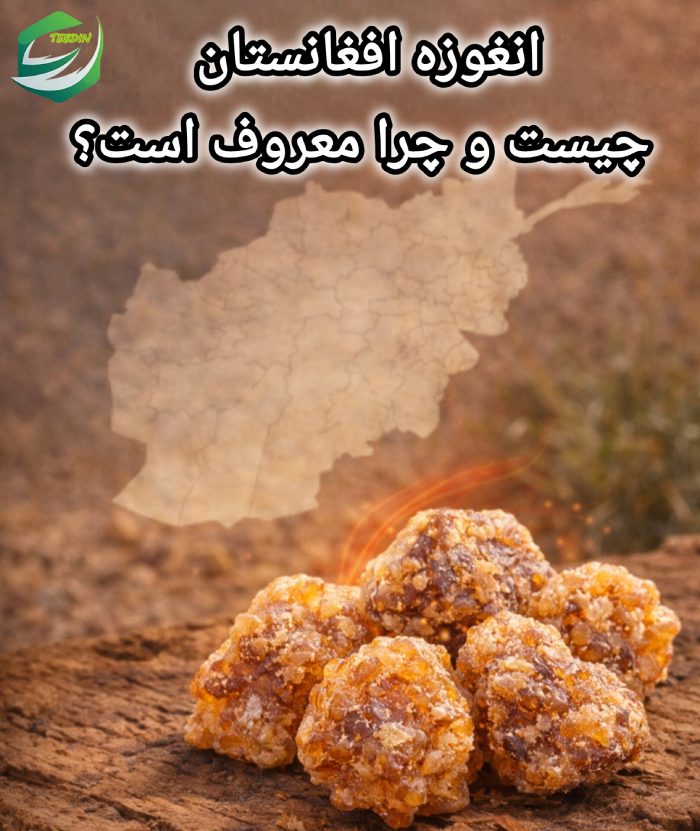 انغوزه افغانستان چیست و چرا معروف است؟