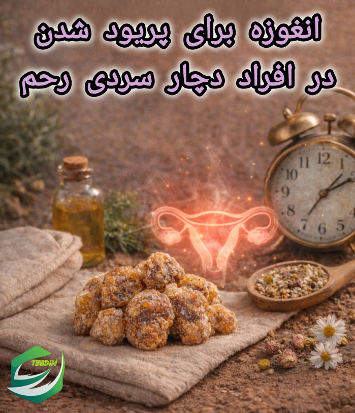 انغوزه برای پریودشدن در افراد دچار سردی رحم