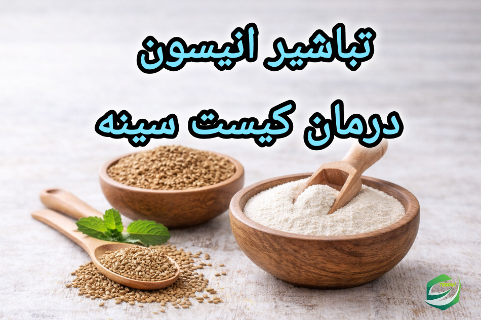 جامع انیسون 7 تباشیر انیسون درمان کیست سینه
