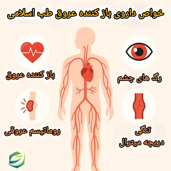 خواص داروی بازکننده عروق طب اسلامی ۲