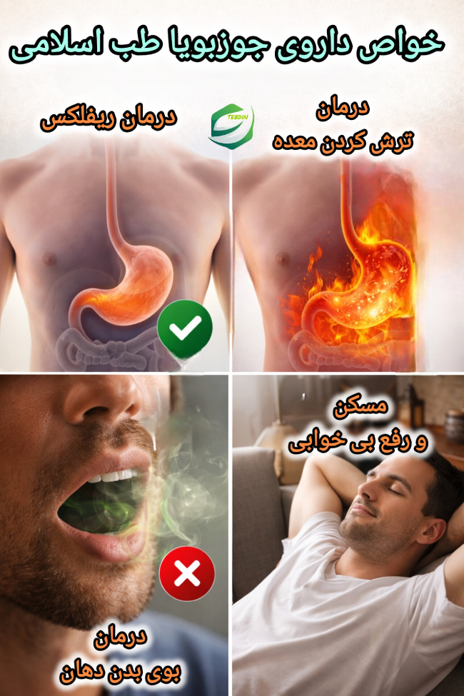 خواص داروی جوزبویا طب اسلامی