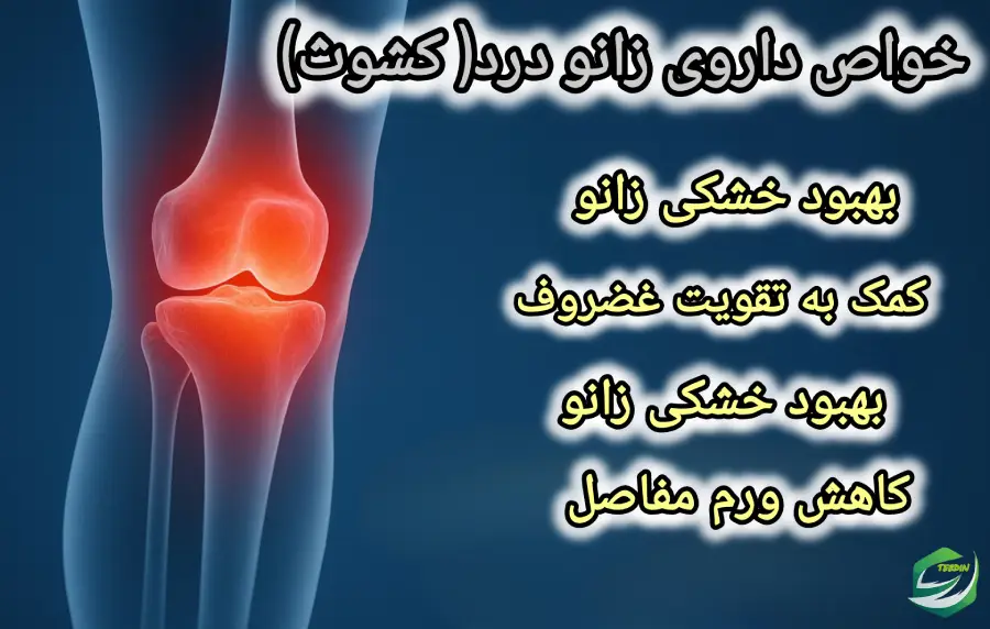 خواص داروی زانودرد کشوث