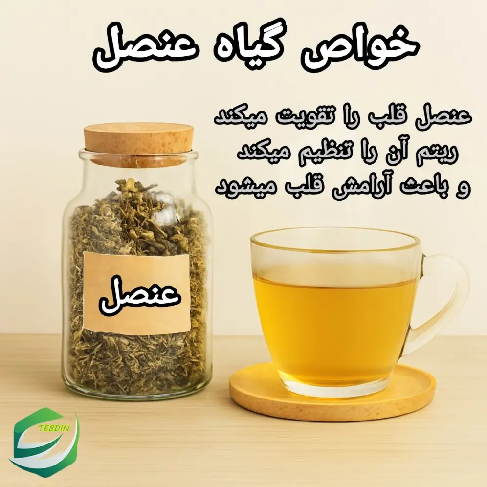 خواص گیاه عنصل 1
