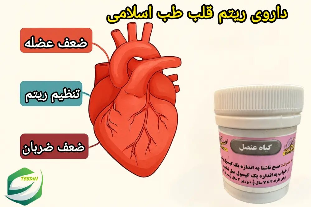 داروی ریتم قلب طب اسلامی