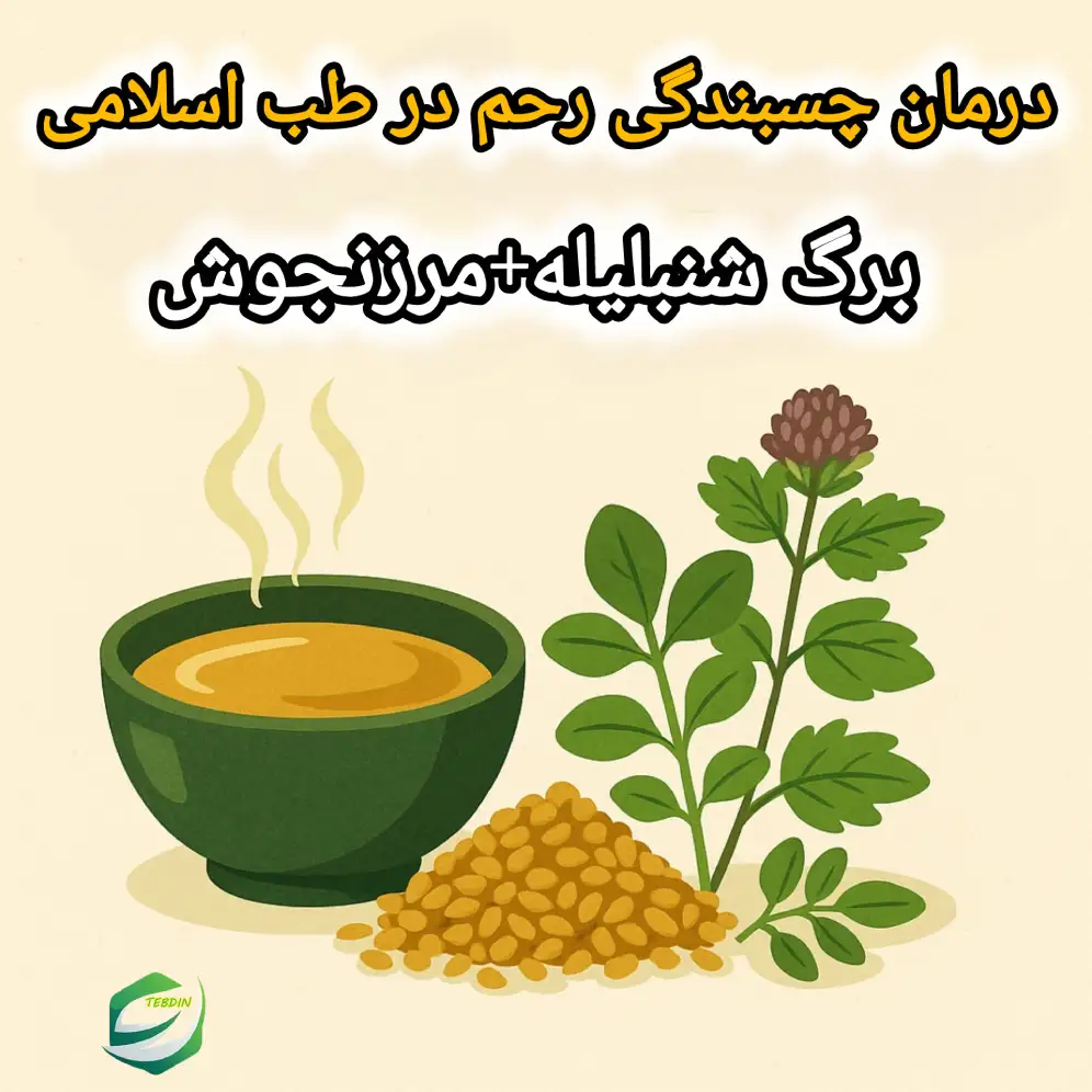 درمان چسبندگی رحم برگ شنبلیهمرزنجوش