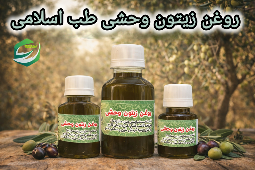 روغن زیتون وحشی طب اسلامی 1