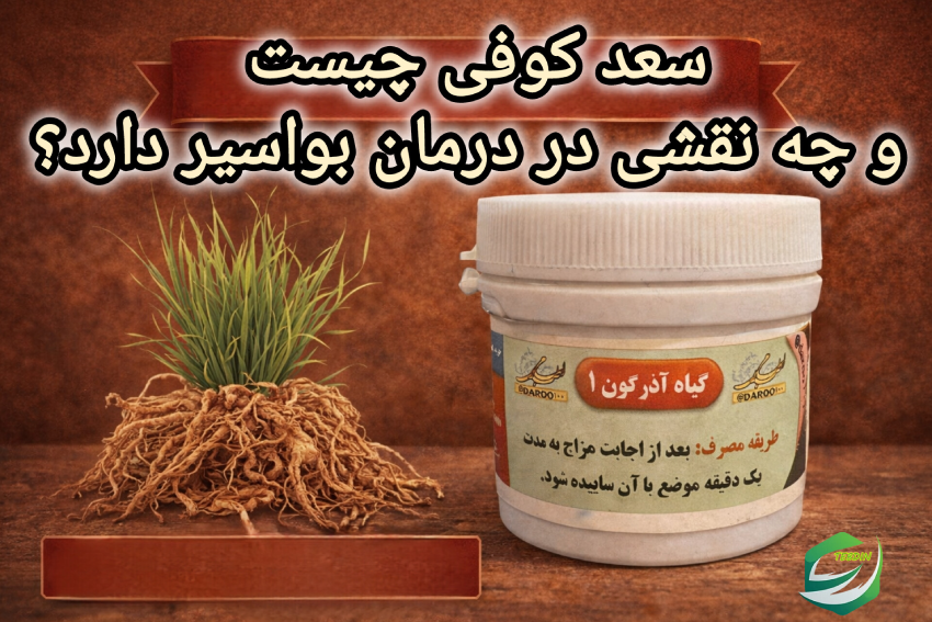 سعد کوفی چیست و چه نقشی در درمان بواسیر دارد