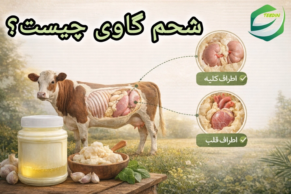 شحم گاوی چیست؟