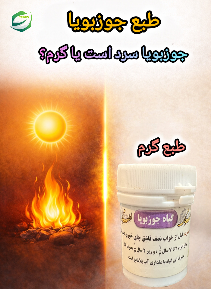 طبع جوزبویا گرم است یا سرد؟