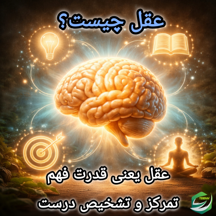 عقل چیست؟