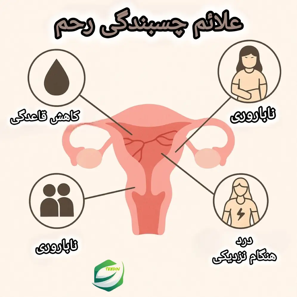 علائم چسبندگی رحم 1