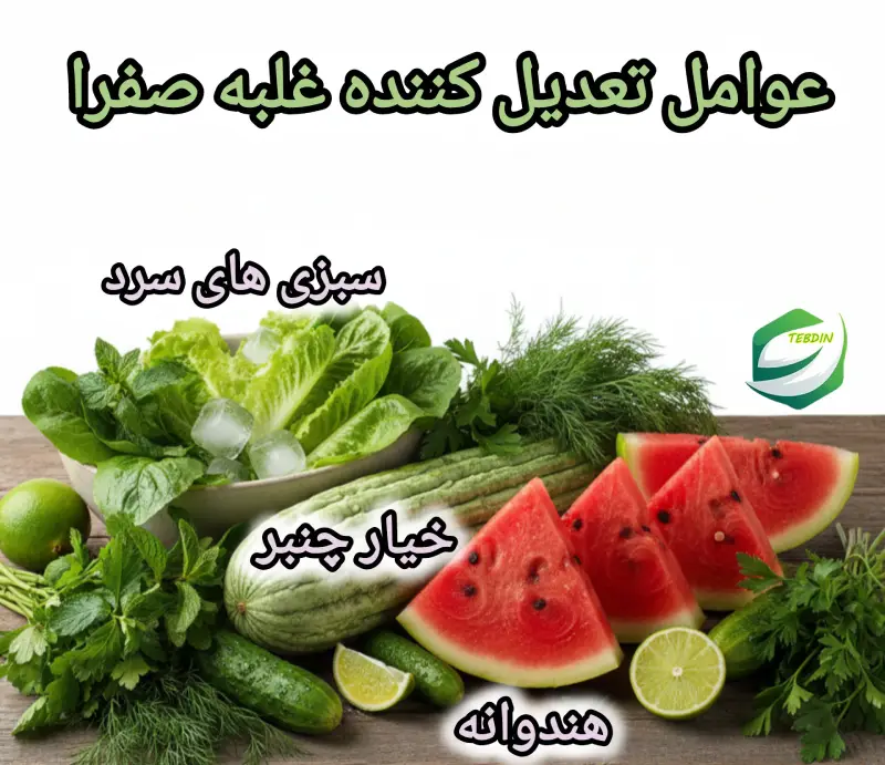 عوامل تعدیل کننده غلبه صفرا 3 1