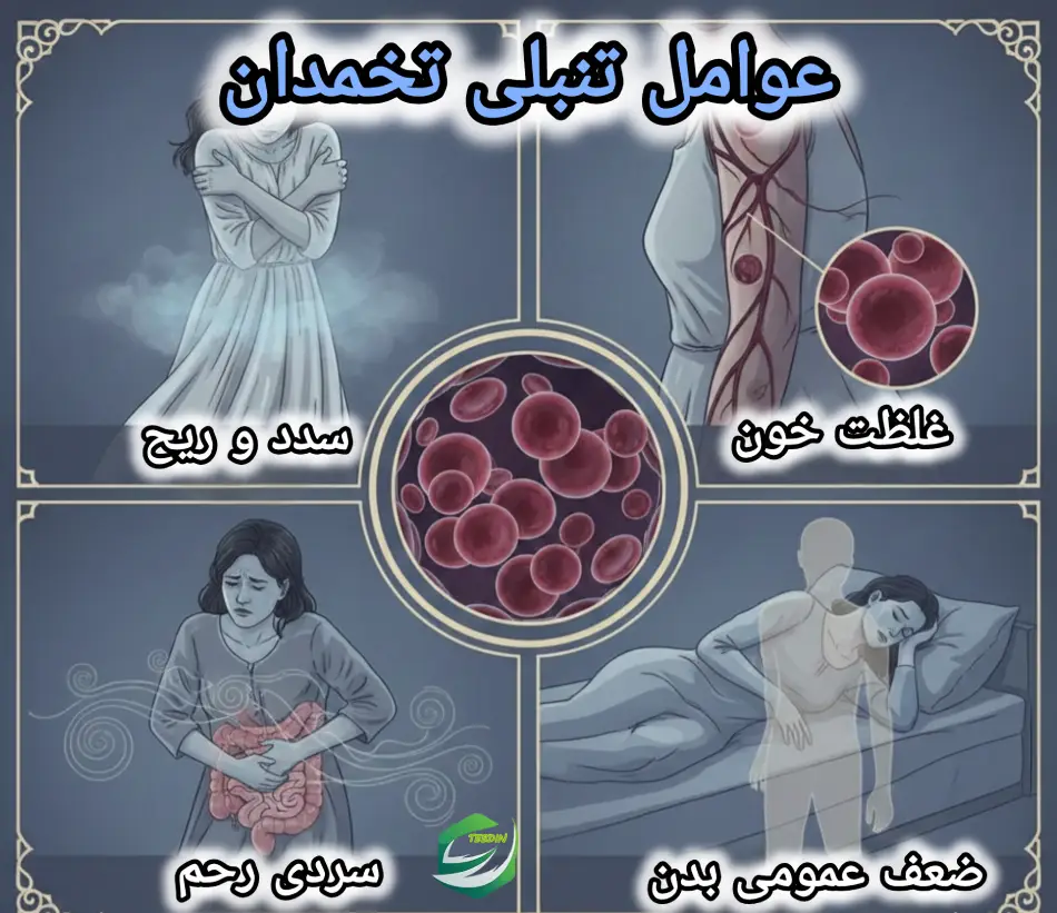 عوامل تنبلی تخمدان