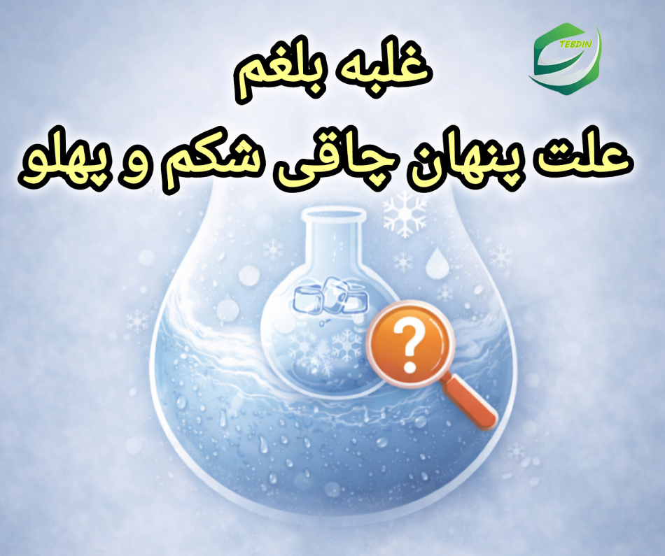 غلبه بلغم علت پنهانی چاقی شکم و پهلو