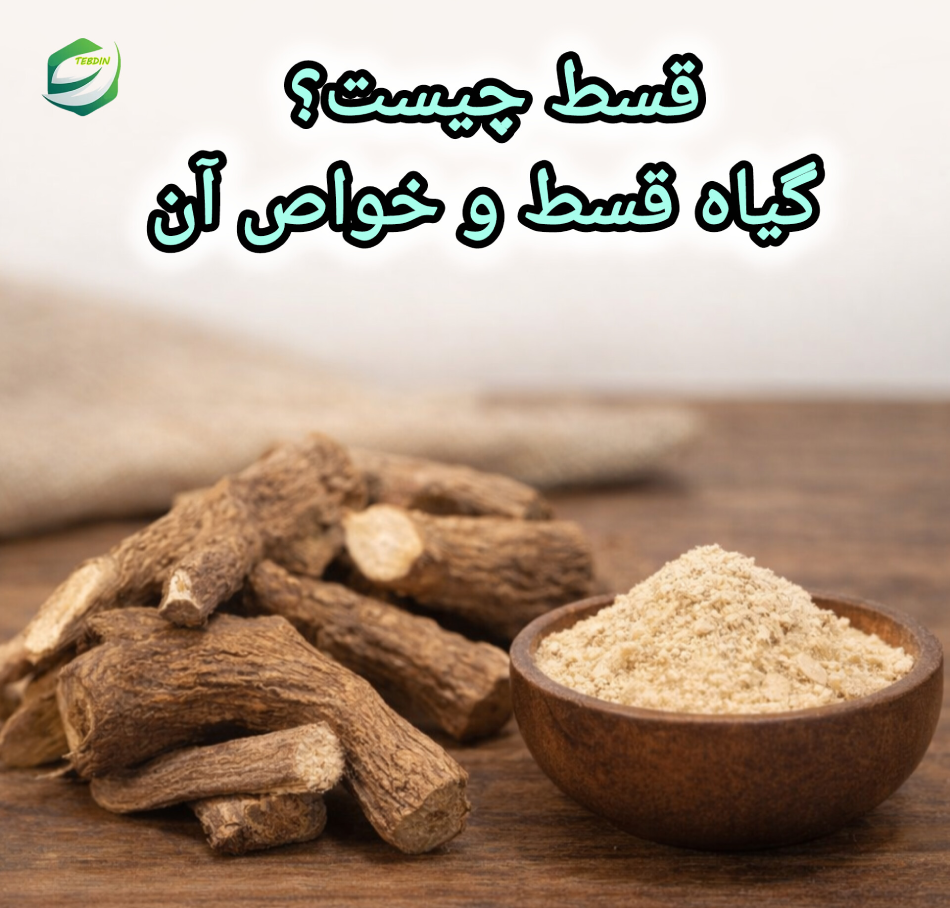 قسط چیست؟گیاه قسط و خواص آن