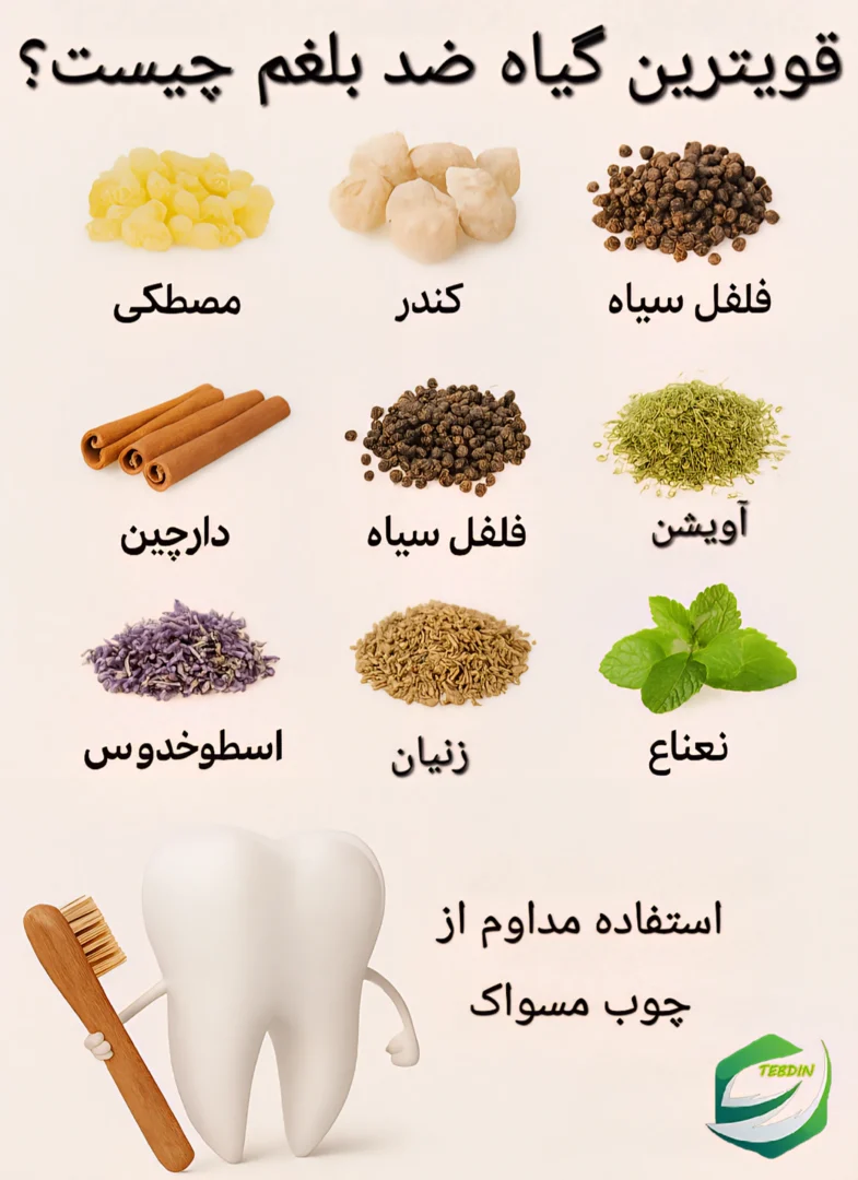 قویترین گیاه ضد بلغم چیست ؟