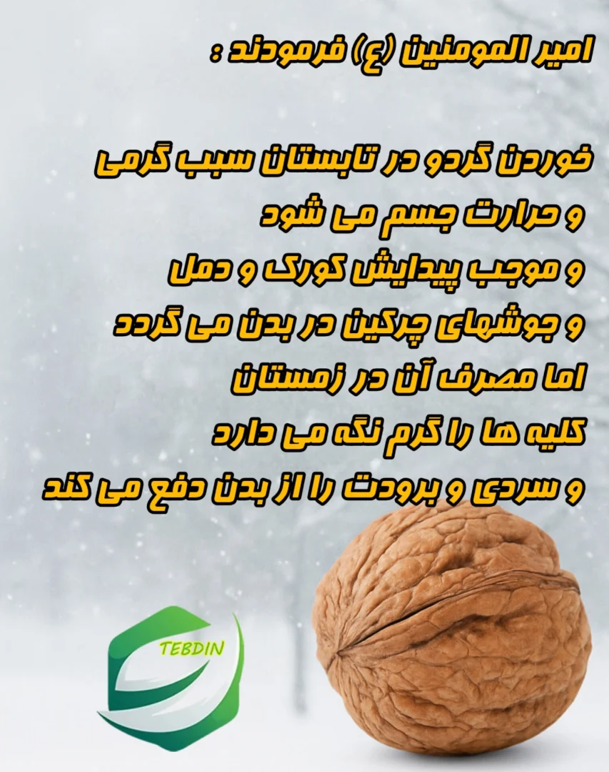 مضرات گردو برای کلیه