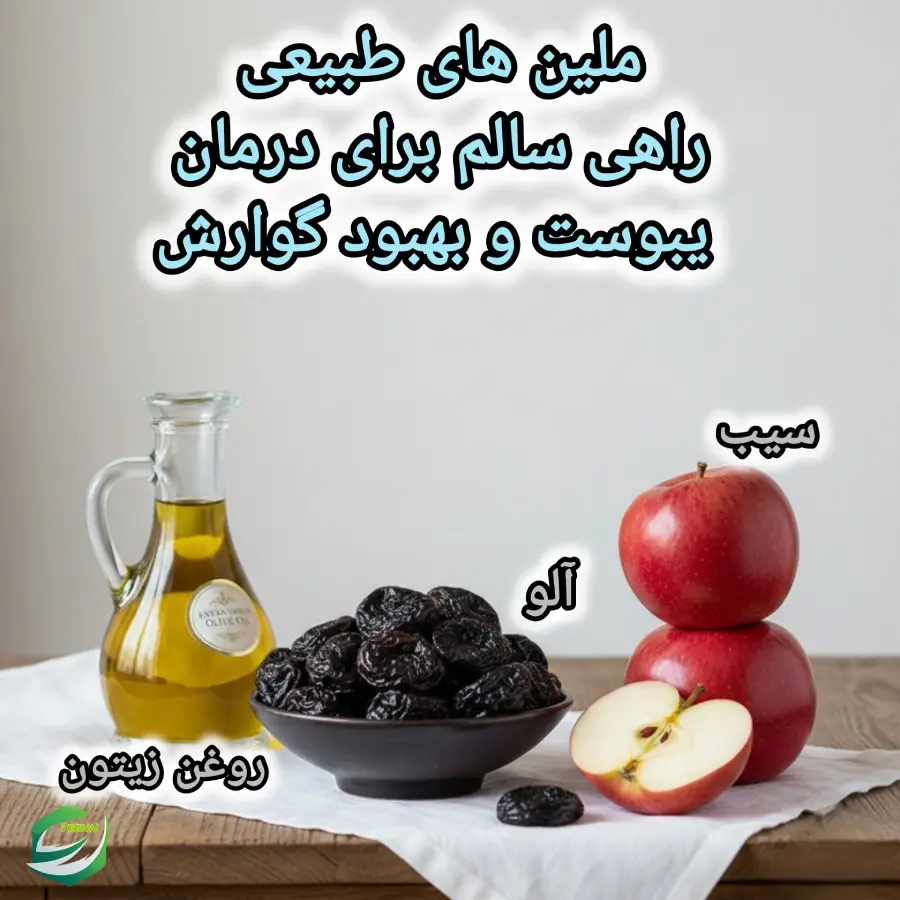 ملین های طبیعی
