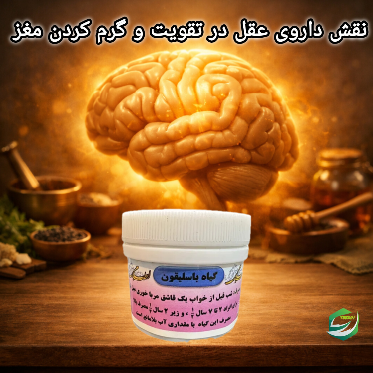 نقش داروی عقل در تقویت و گرم کردن مغز