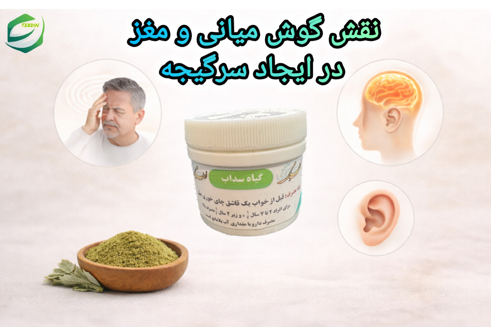 نقش گوش میانی و مغز در ایجاد سرگیجه