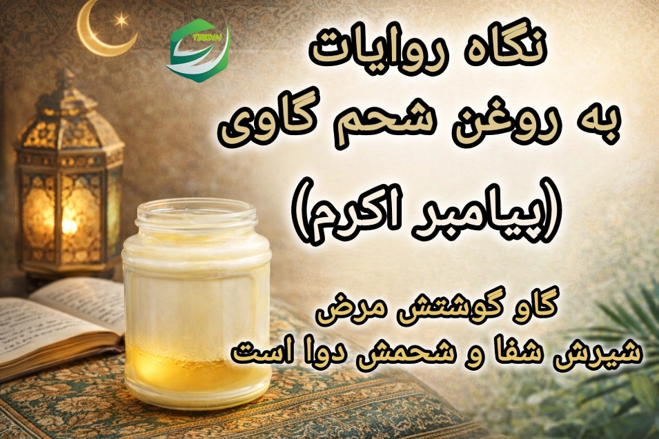 نگاه روایات به روغن شحم