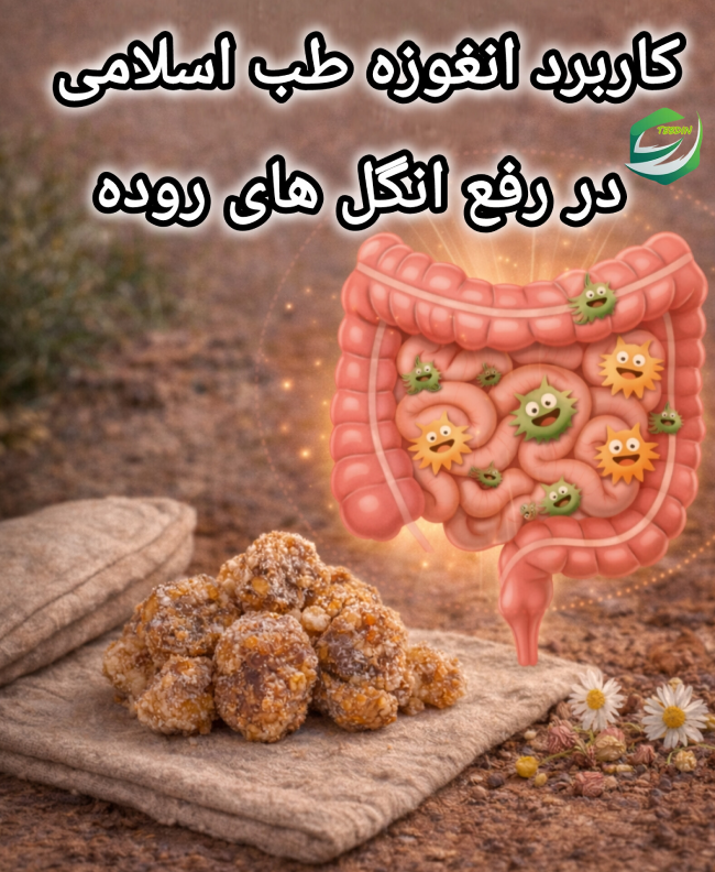 کاربرد انغوزه طب اسلامی در رفع انگل های روده