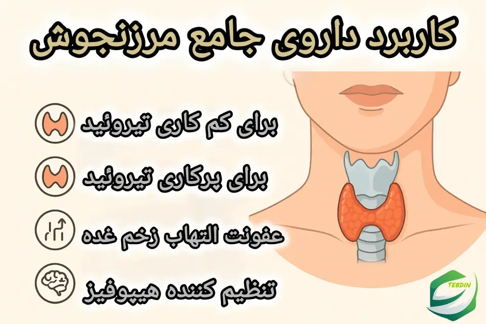 جامع مرزنجوش 4 کاربرد داروی جامع مرزنجوش