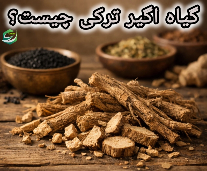 اگیر مالیدنی 4 گیاه اگیر ترکی چیست ؟ 1
