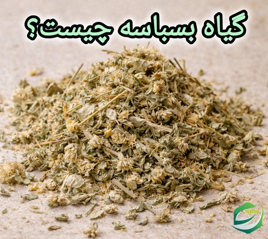 روغن بسباسه 3 گیاه بسباسه چیست؟