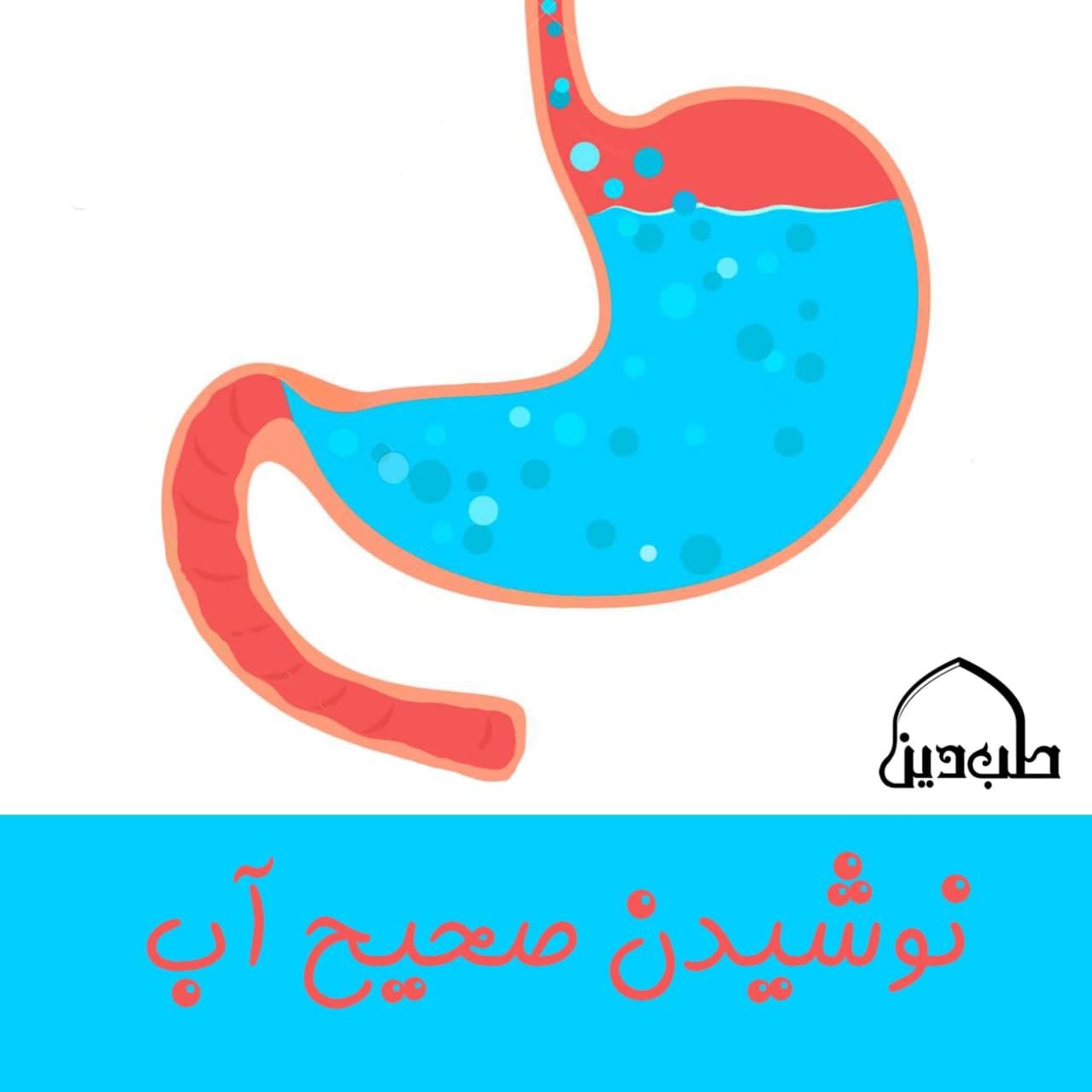 نوشیدن صحیح آب در طب اسلامی
