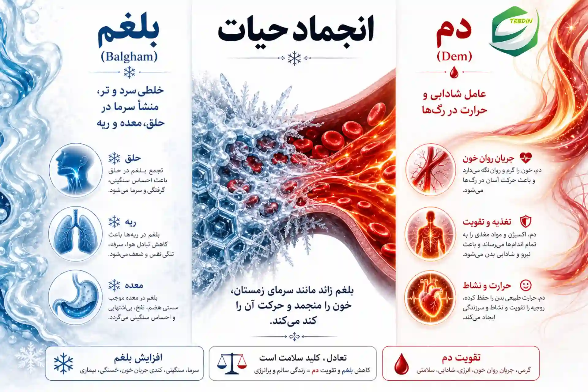 قویترین بلغم زدا + درمان غلبه بلغم 2 بلغم انجماد حیات