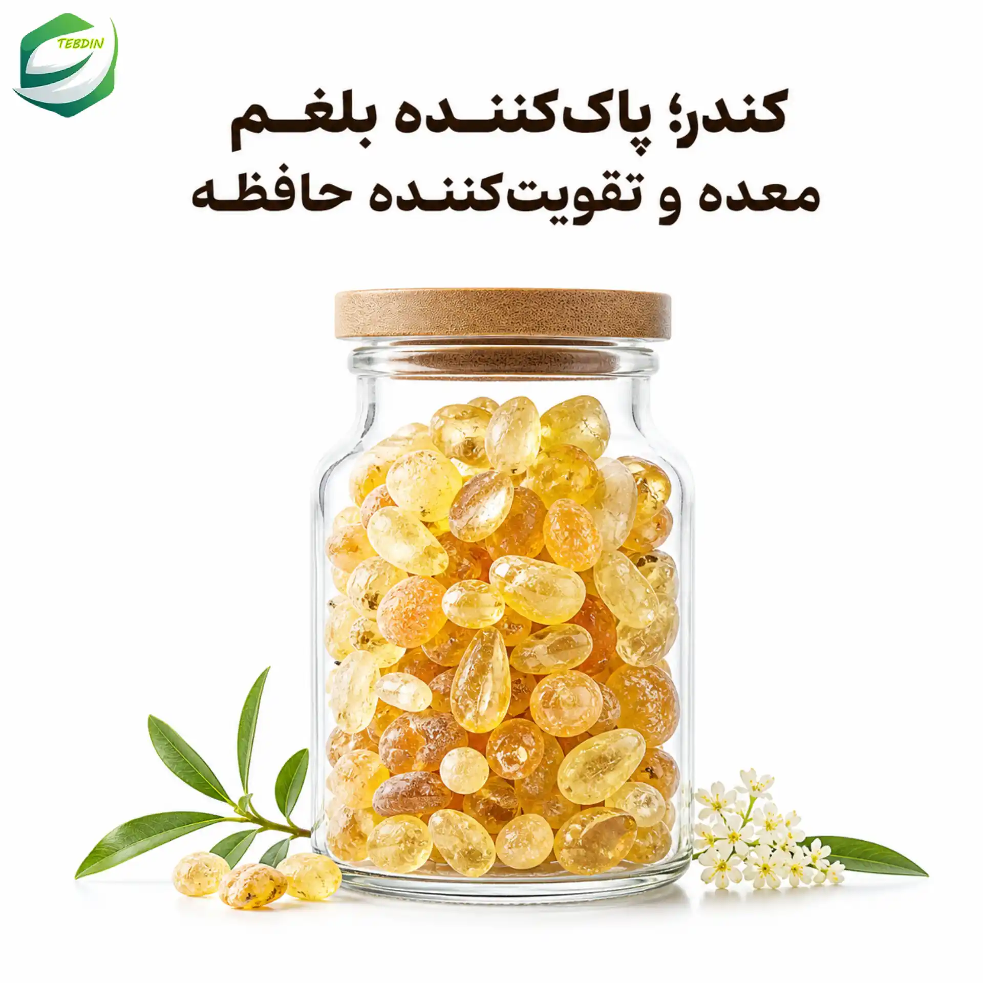 قویترین بلغم زدا + درمان غلبه بلغم 10 کندر پاک کننده بلغم