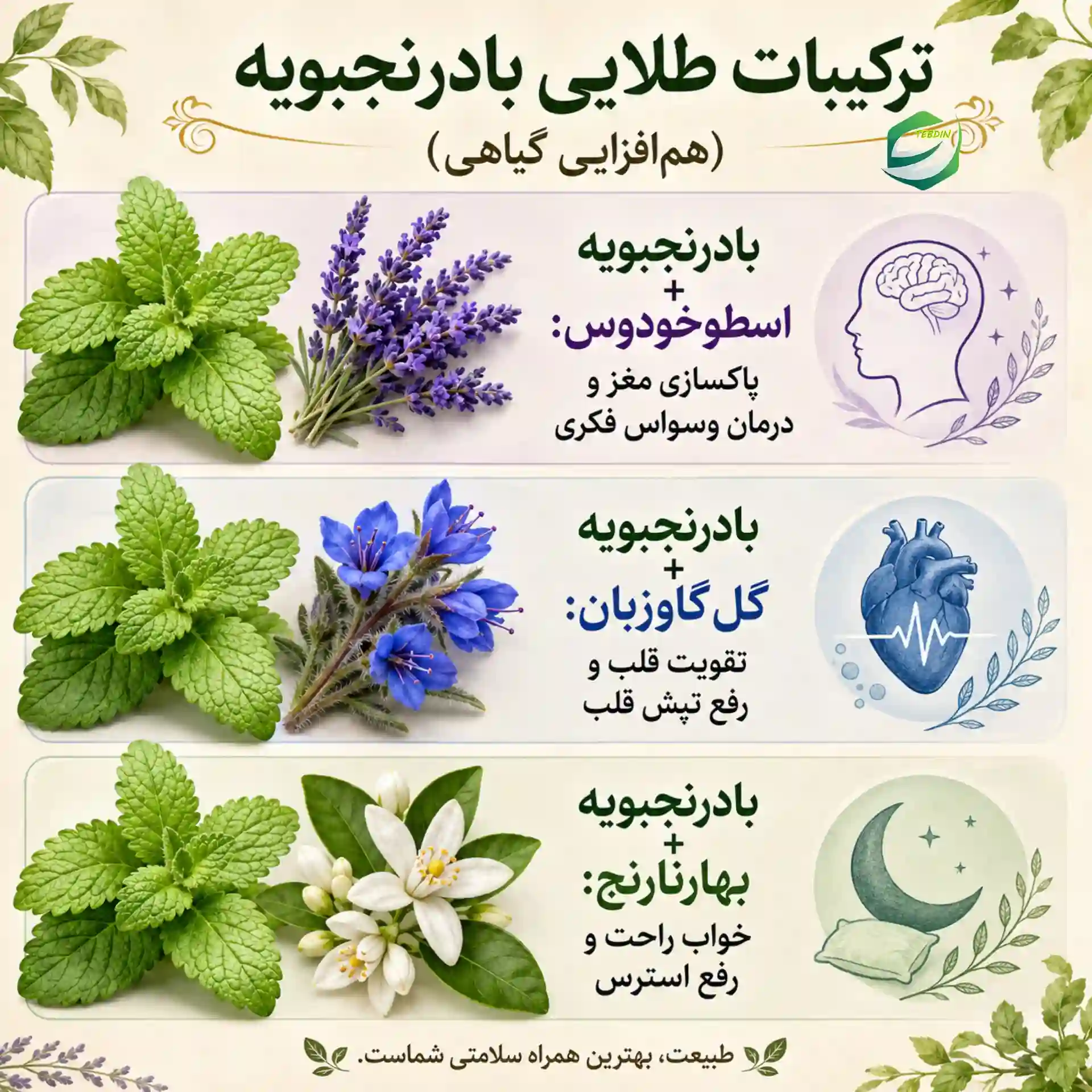 ترکیبات طلایی بادرنجبویه
