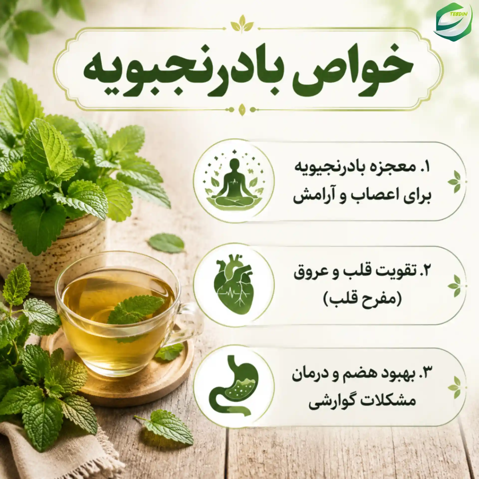 خواص بادرنجبویه