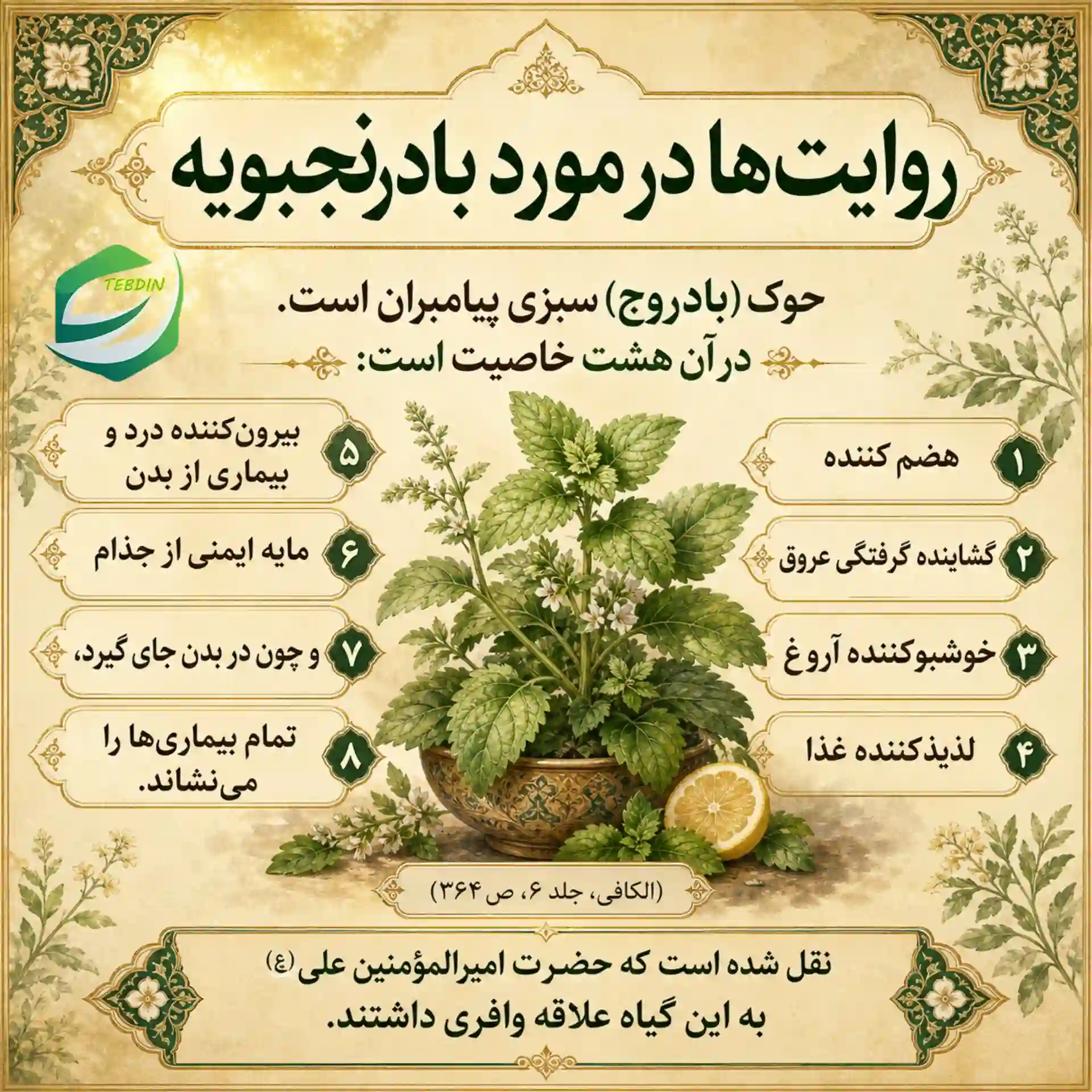 روایت ها در مورد بادرنجبویه