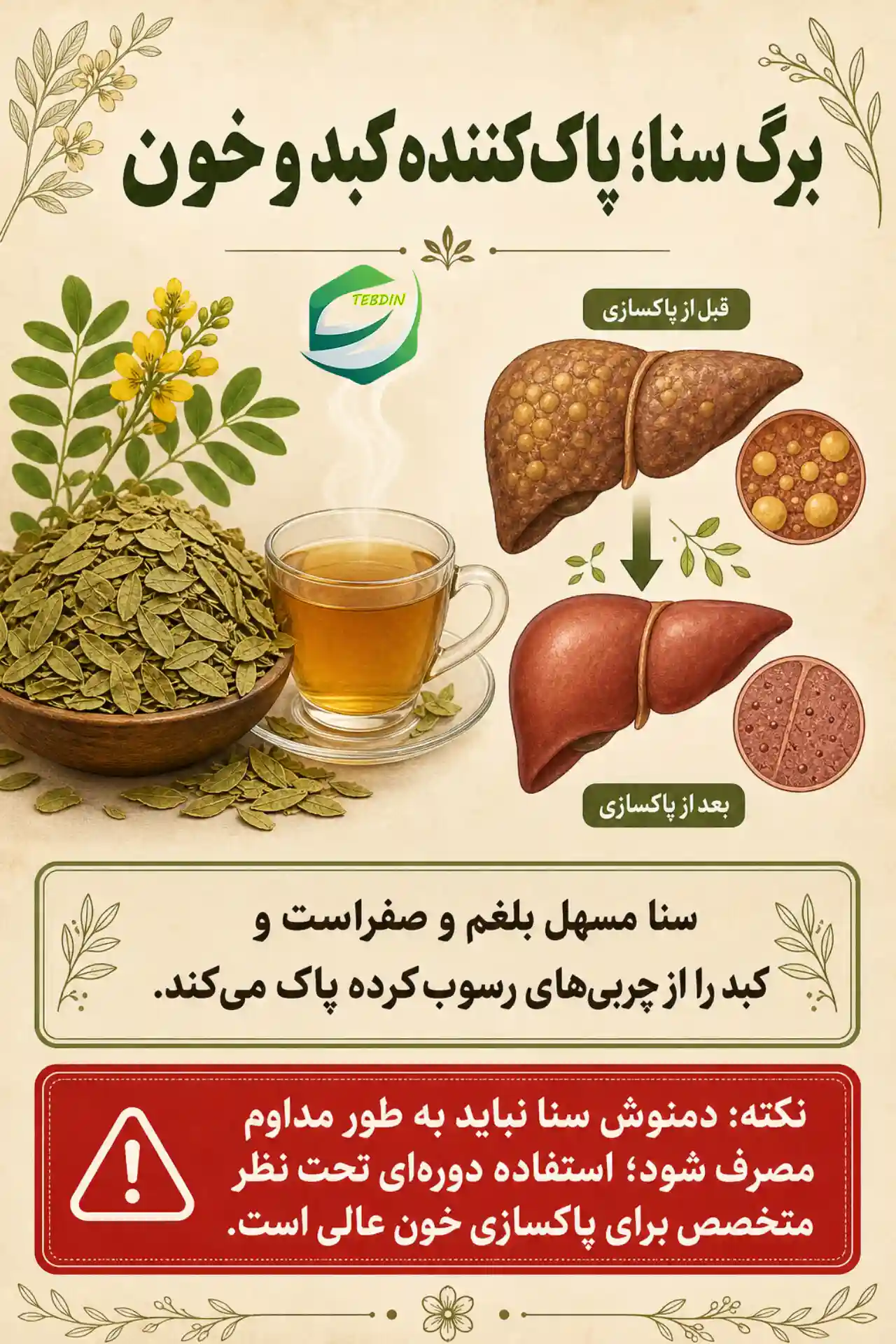 برگ سنا پاک کننده کبد و خون