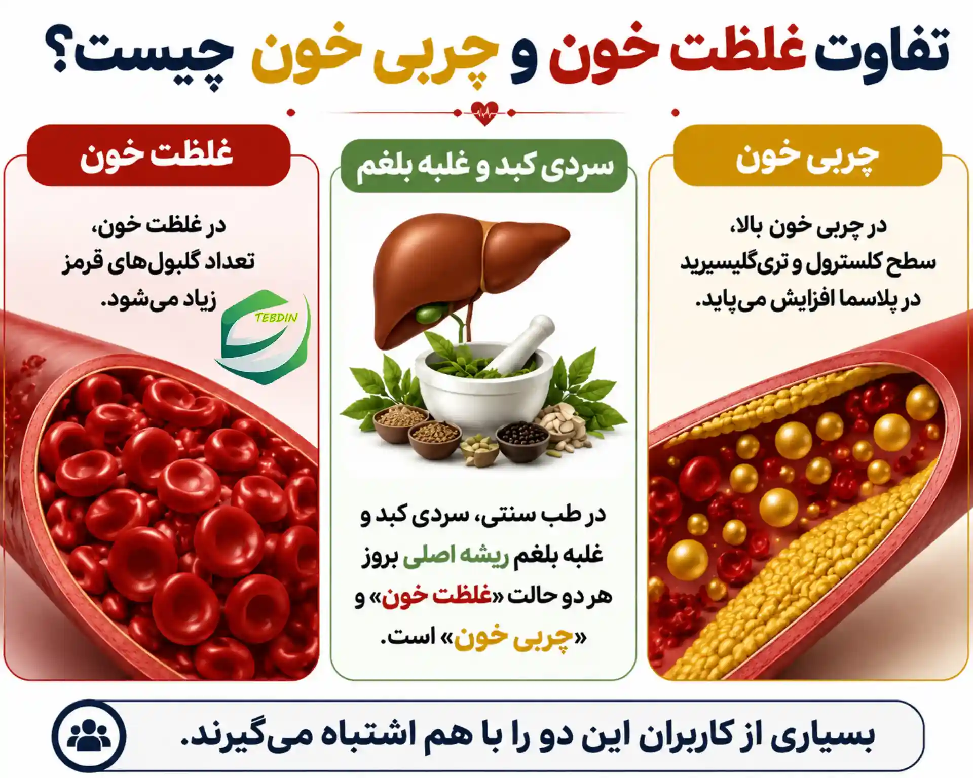 تفاوت غلظت خون و چربی خون چیست؟