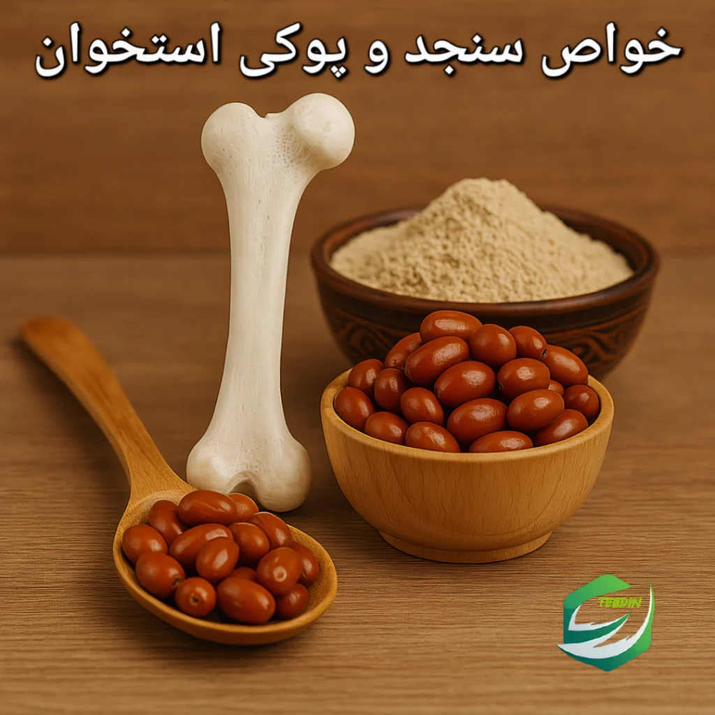 خواص سنجد