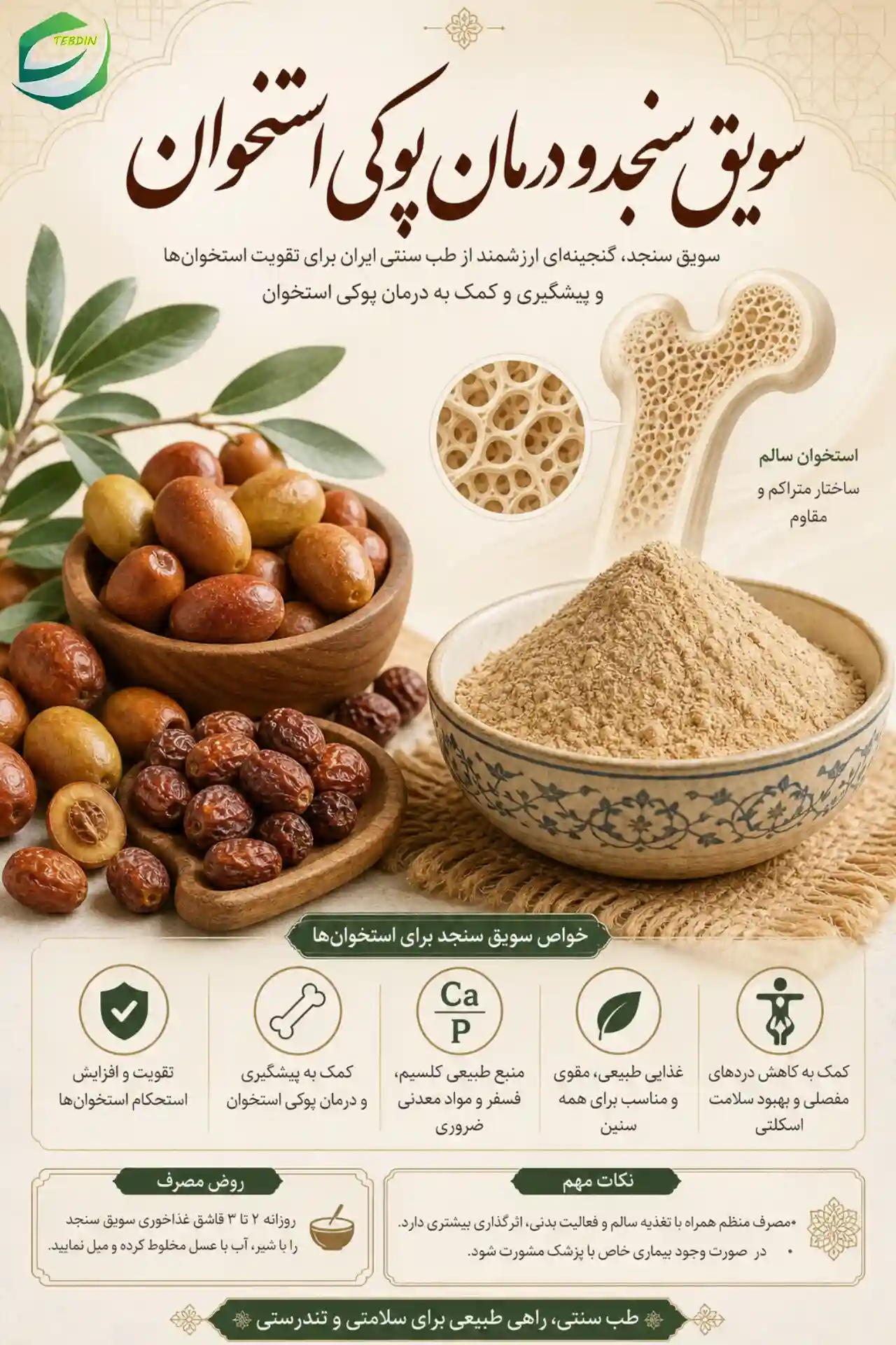 سنجد و پوکی استخوان 1 سویق سنجد و درمان پوکی استخوان