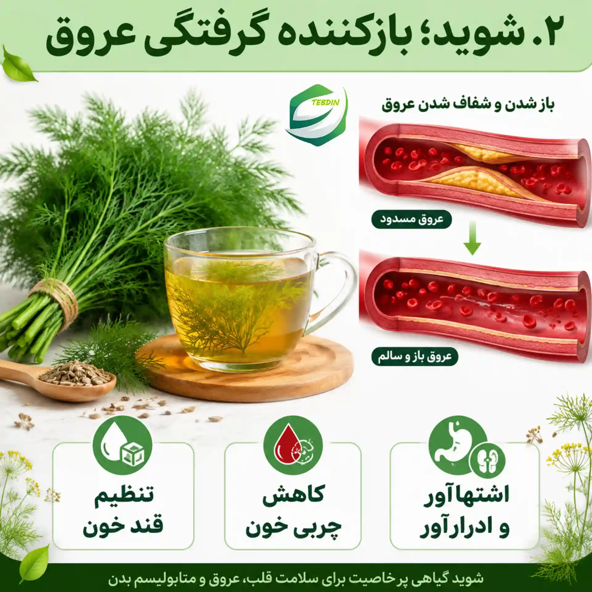 شوید؛ بازکننده گرفتگی عروق