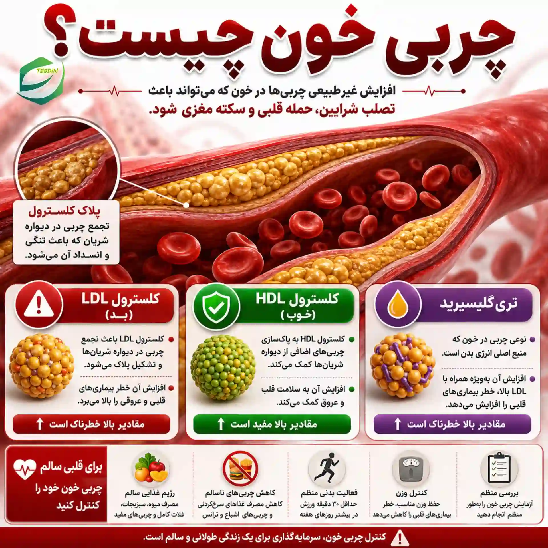 چربی خون چیست؟