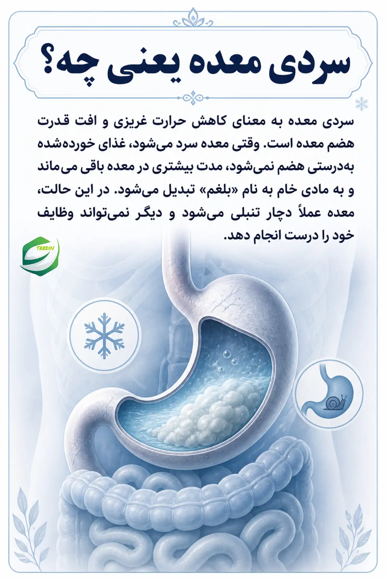 سردی معده یعنی چه؟