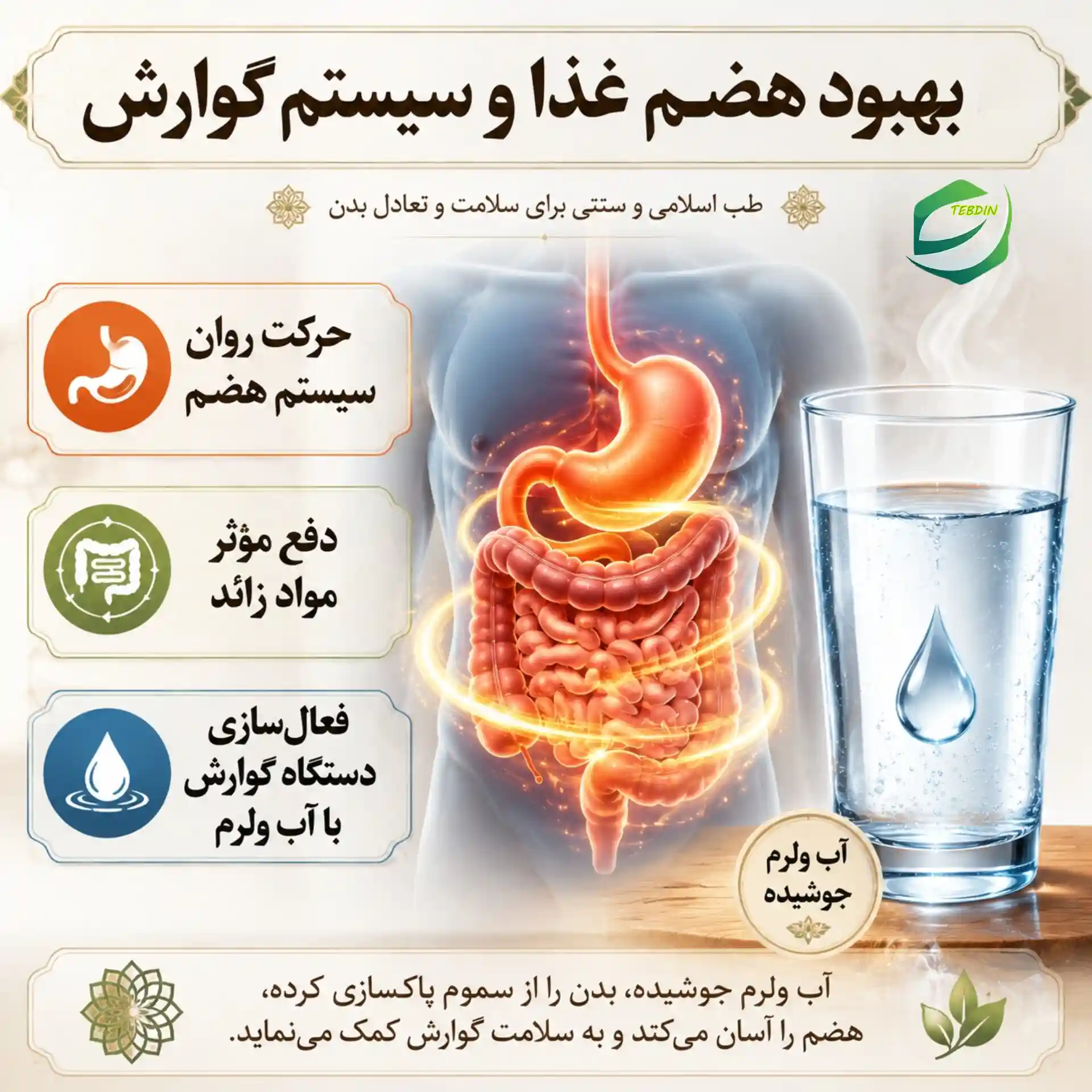 آب فاتر چیست و چه خواصی دارد ؟ 2 بهبود هضم غذا و سیستم گوارش