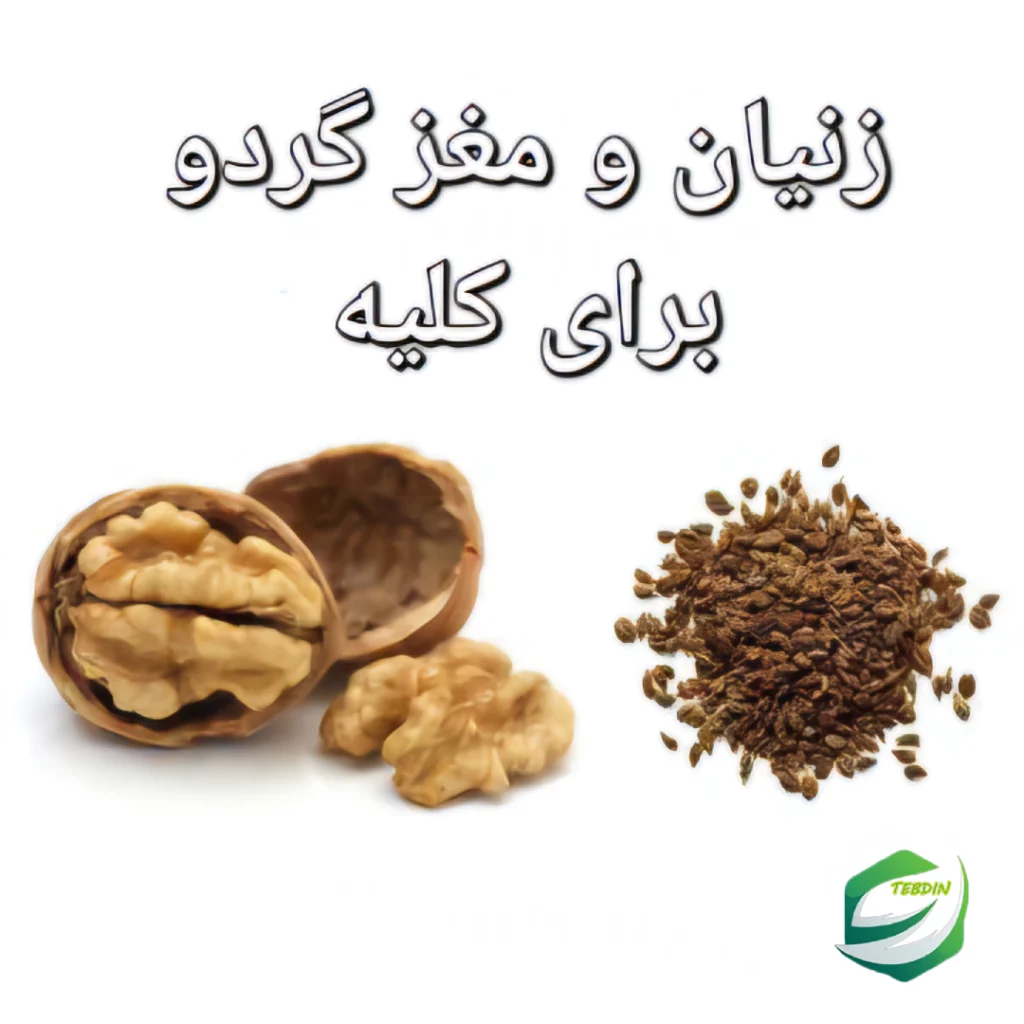 زنیان و گردو برای کلیه