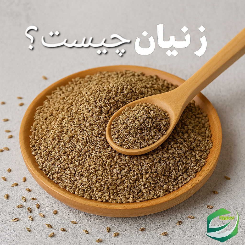 زنیان چیست ؟