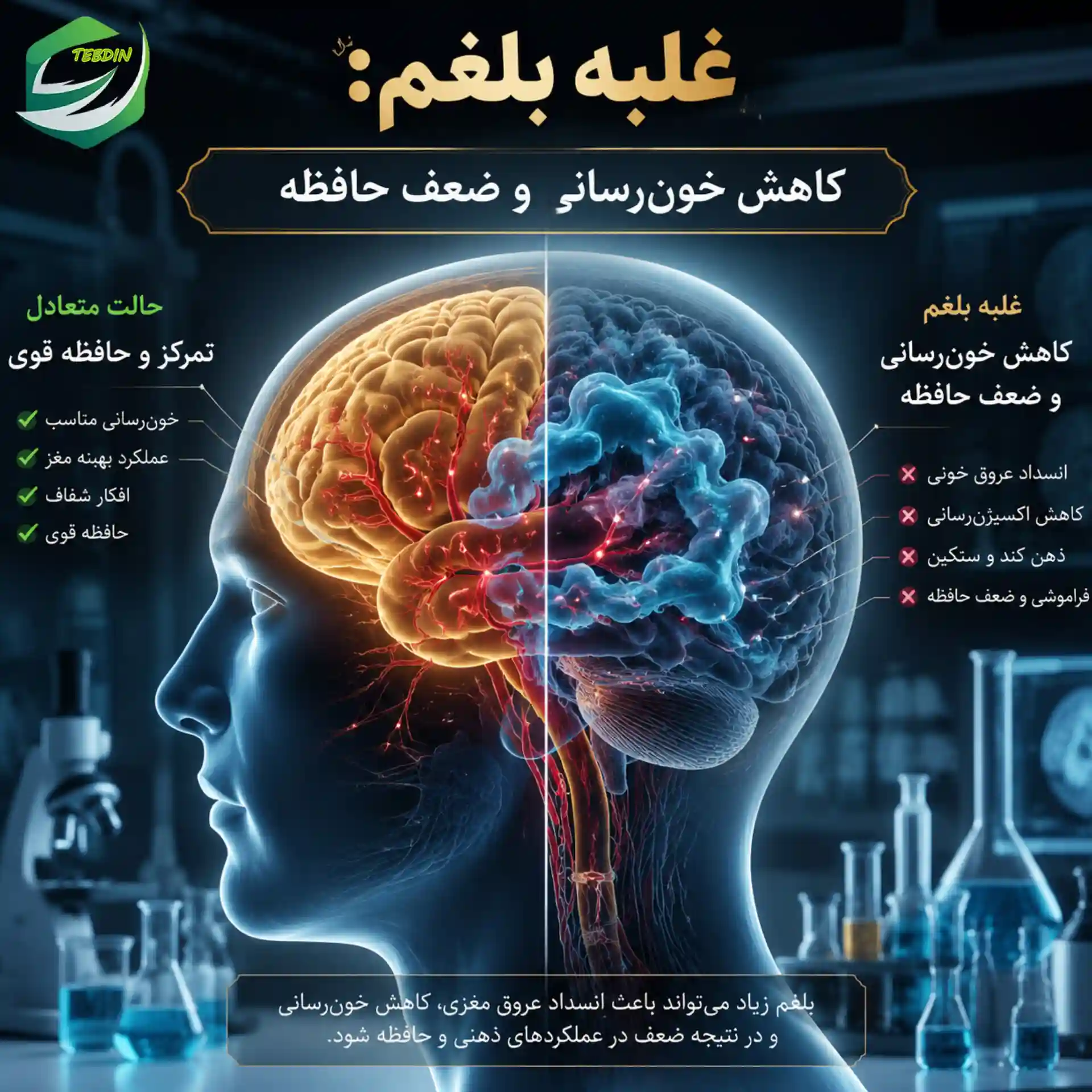 غلبه بلغم کاهش خون رسانی و ضعف حافظه
