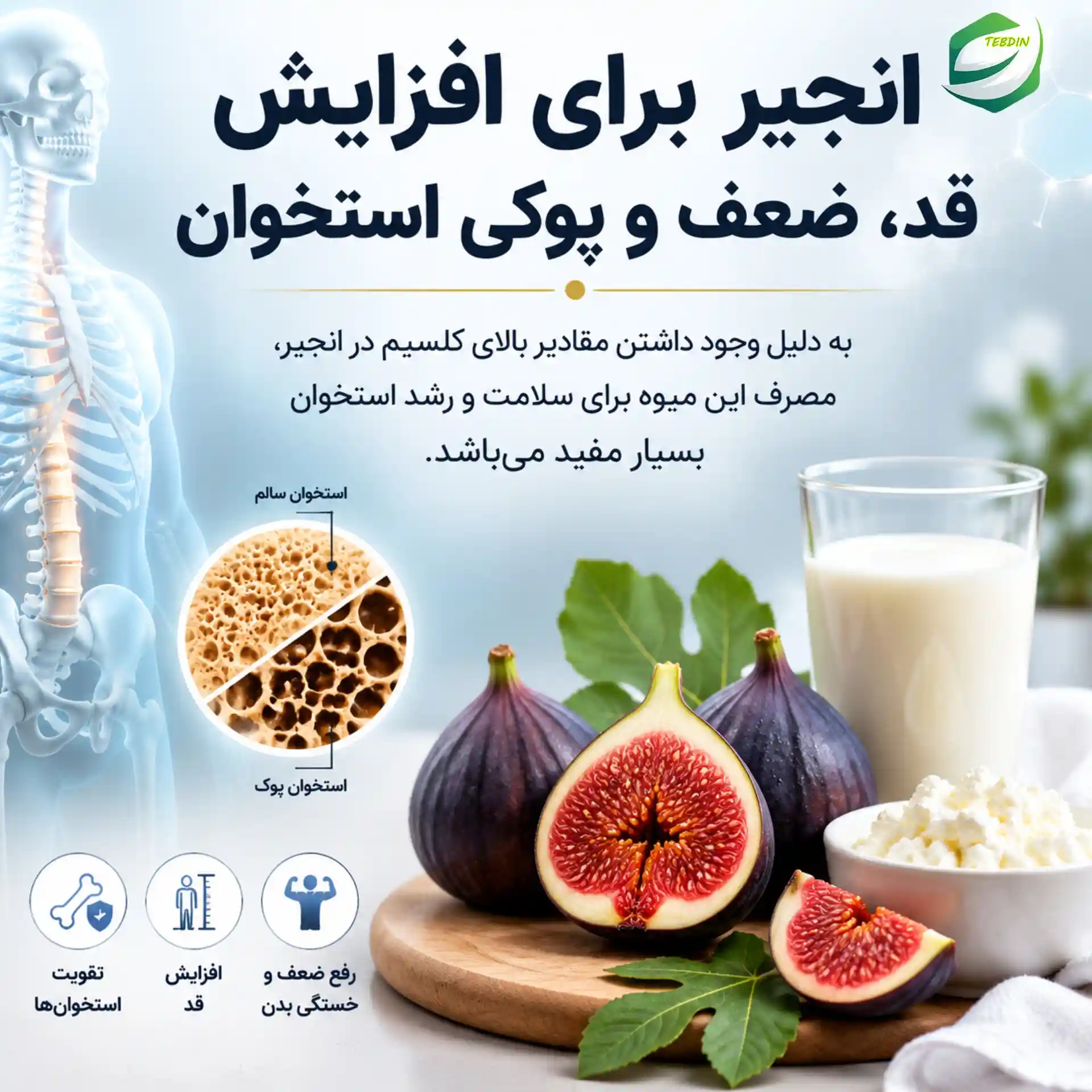 انجیر برای افزایش قد ضعف و پوکی استخوان