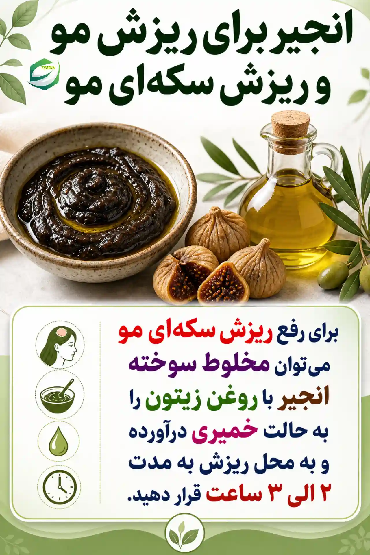 انجیر برای ریزش مو و ریزش سکه‌ای مو