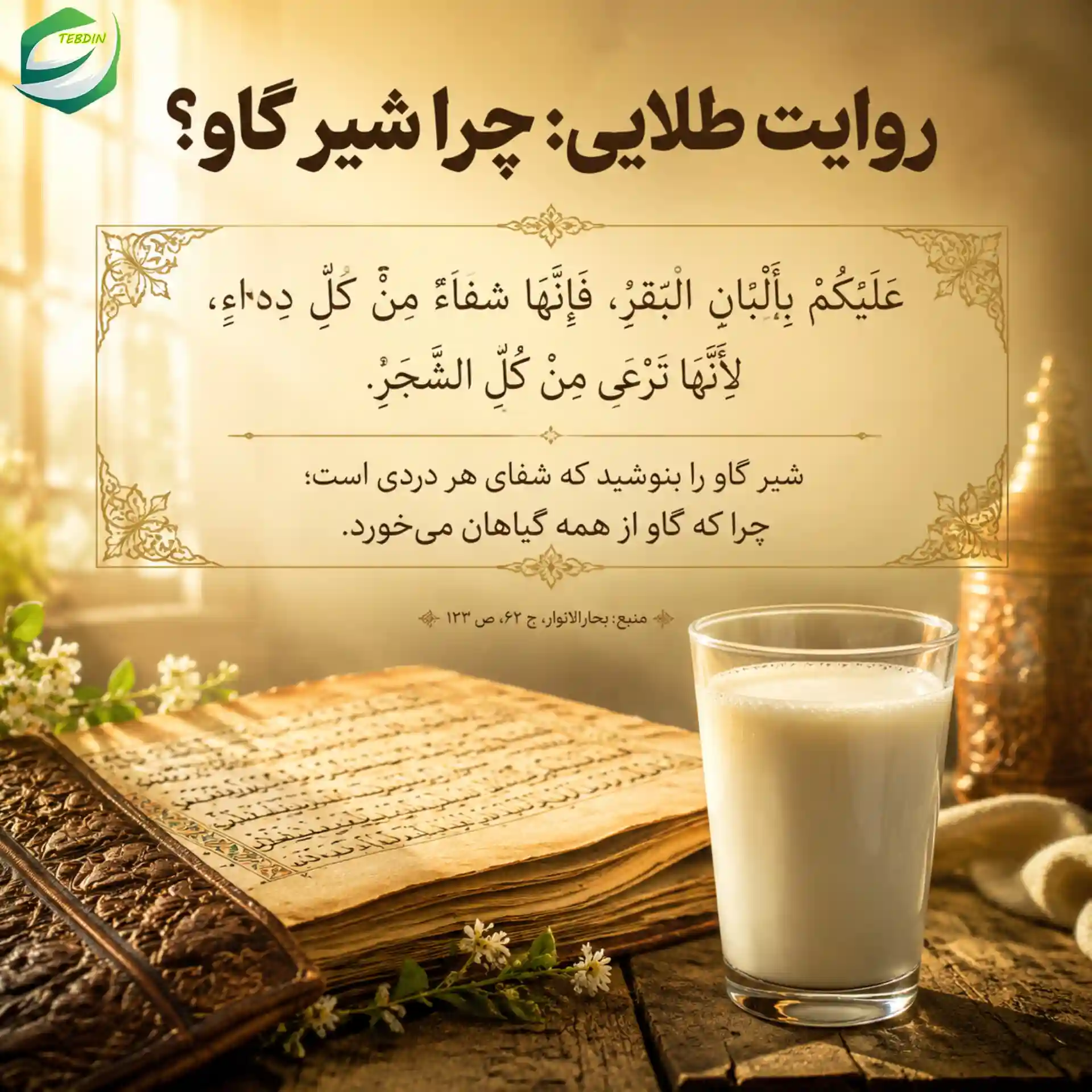 روایت طلایی در مورد شیر گاو