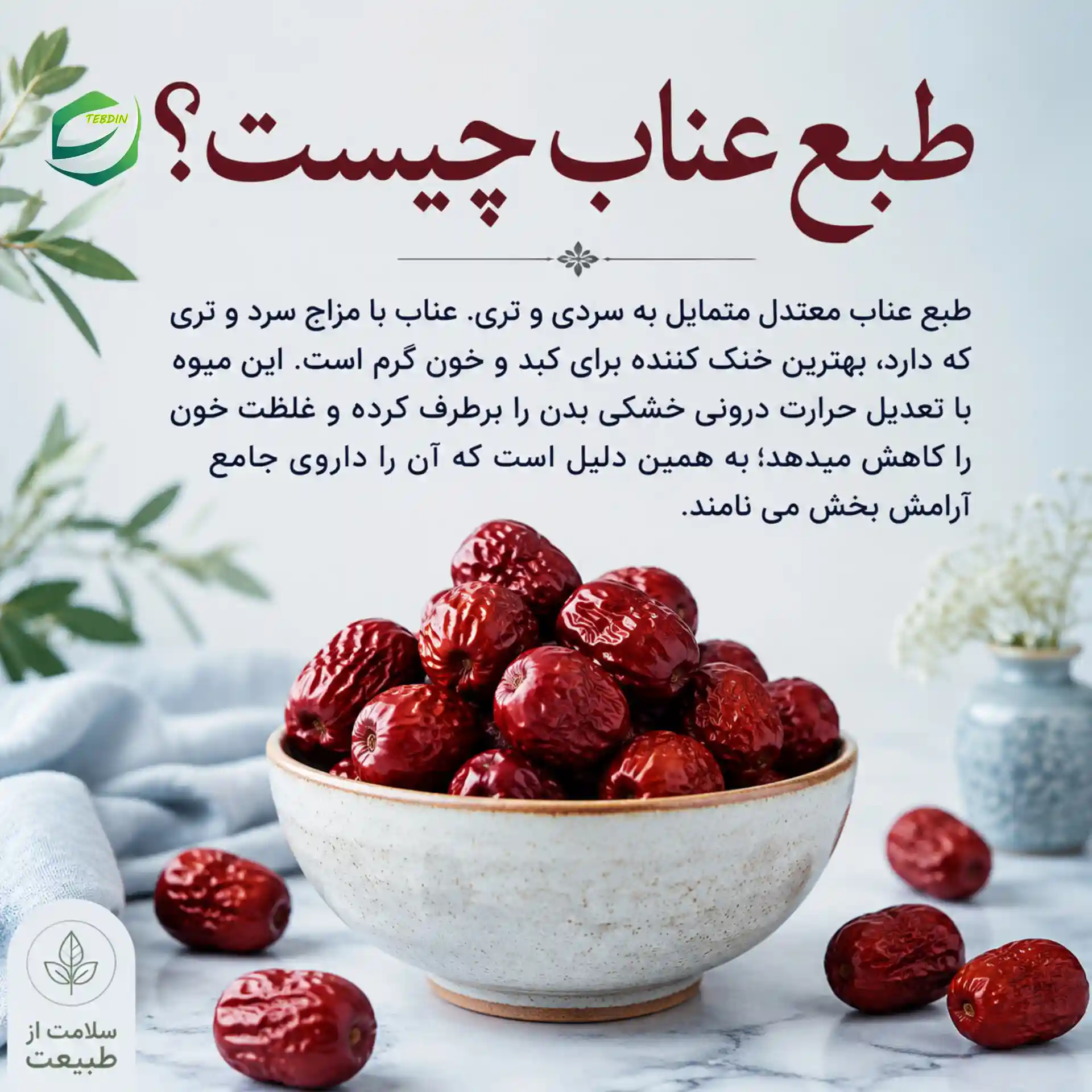 طبع عناب چیست؟